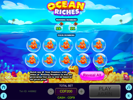 Ocean Riches